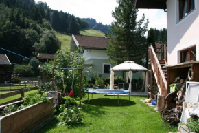Ferienwohnungen Berge, Hollersbach Im Pinzgau, Österreich
